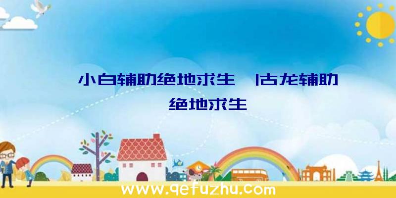 「小白辅助绝地求生」|古龙辅助